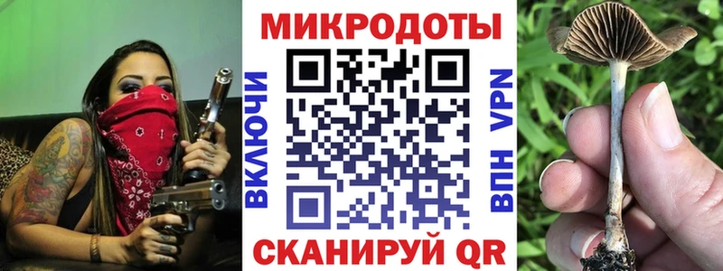 Галлюциногенные грибы мицелий  купить наркоту  Лесной 